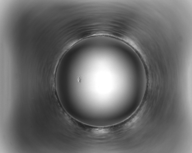 X0000089411145200706221131