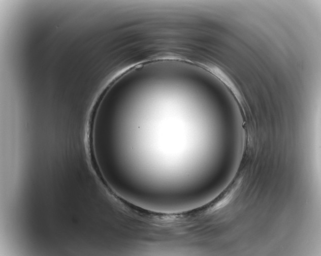 X0000089411149200706221131