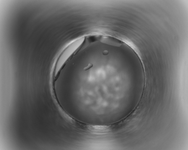 X0000089411152200706221131