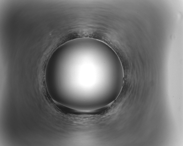 X0000089411153200706221130