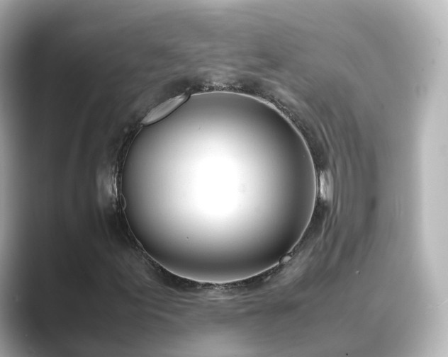 X0000089411155200706221130
