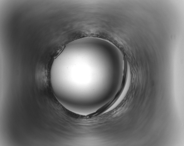 X0000089411156200706221130