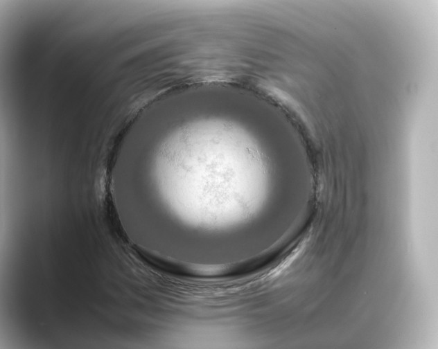 X0000089411161200706221130