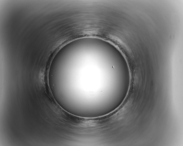 X0000089411162200706221130