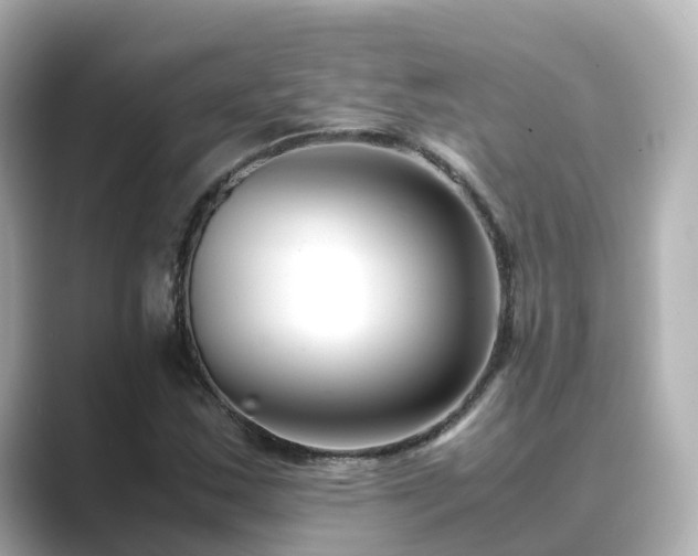 X0000089411163200706221130