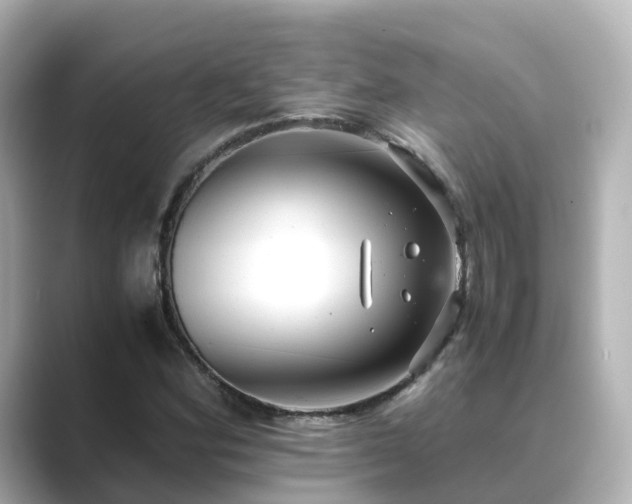 X0000089411164200706221130