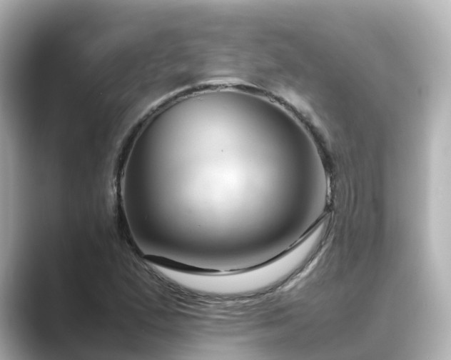 X0000089411167200706221130