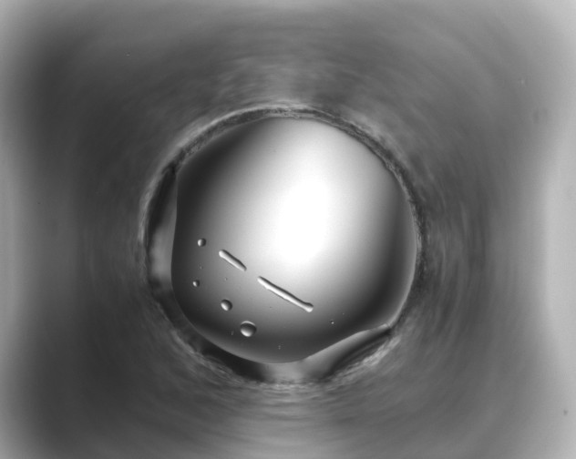 X0000089411168200706221130