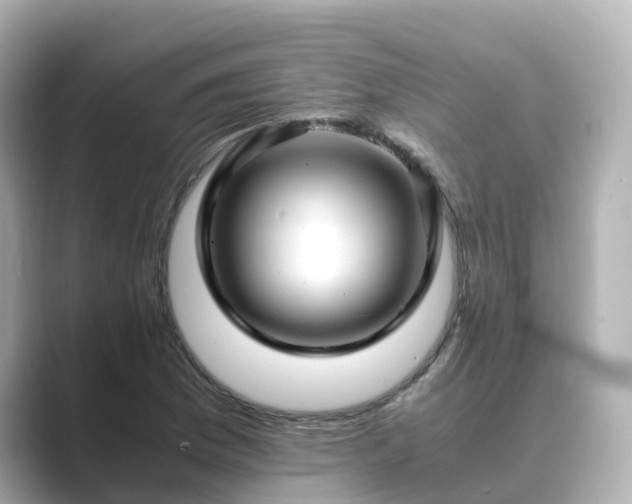 X0000089411169200706221130