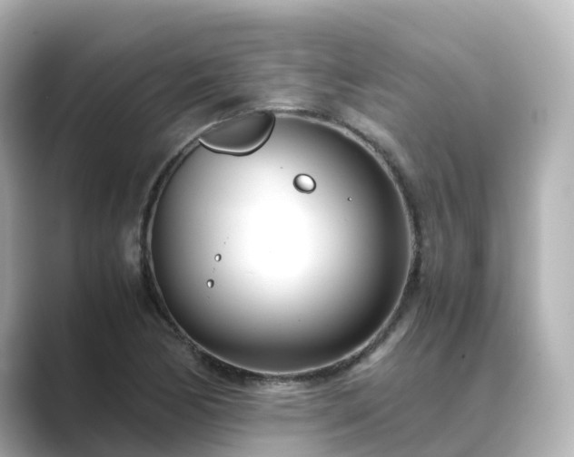X0000089411170200706221130