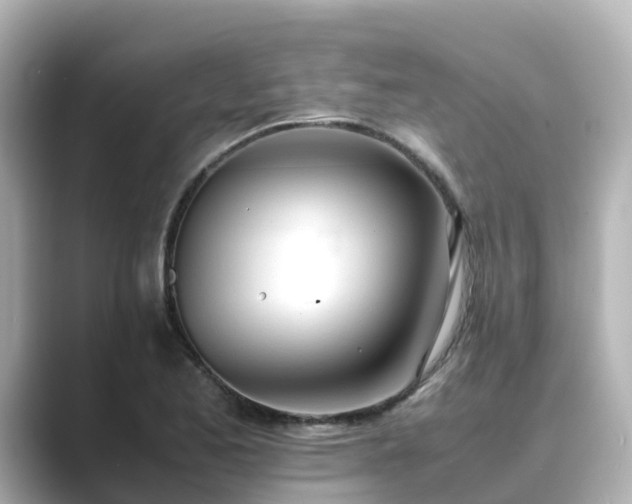 X0000089411173200706221130