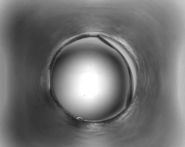 X0000089411175200706221130