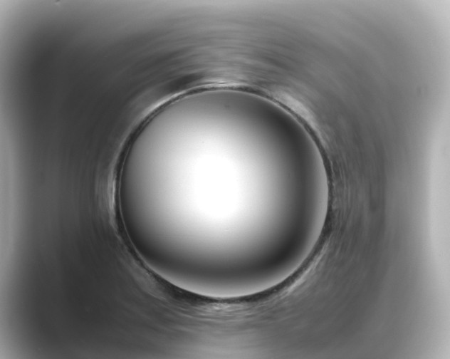X0000089411179200706221130