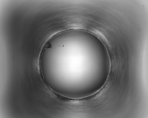 X0000089411182200706221130