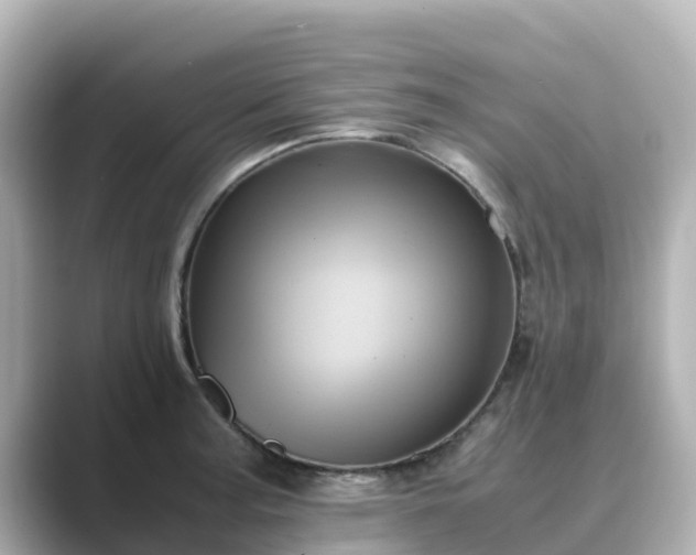 X0000089411187200706221130