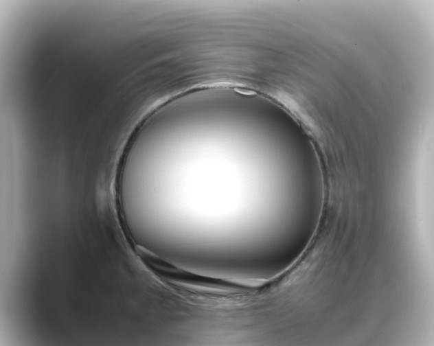 X0000089411189200706221130