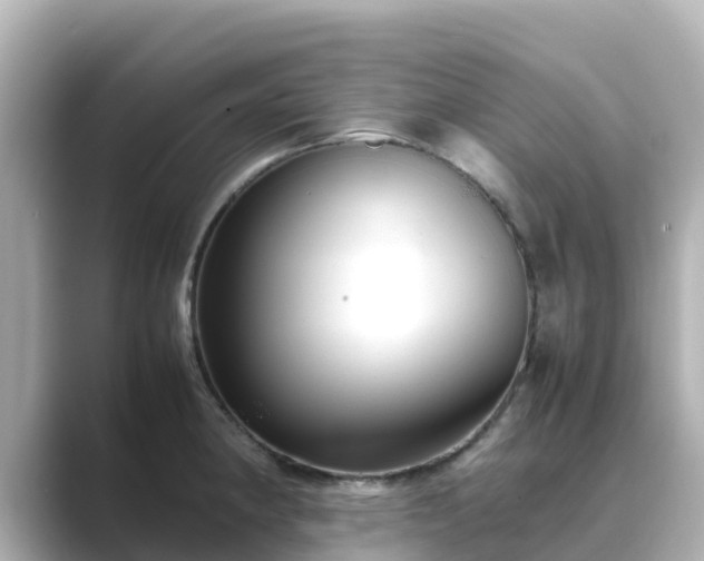 X0000089411190200706221130