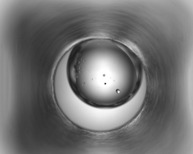 X0000089411192200706221130