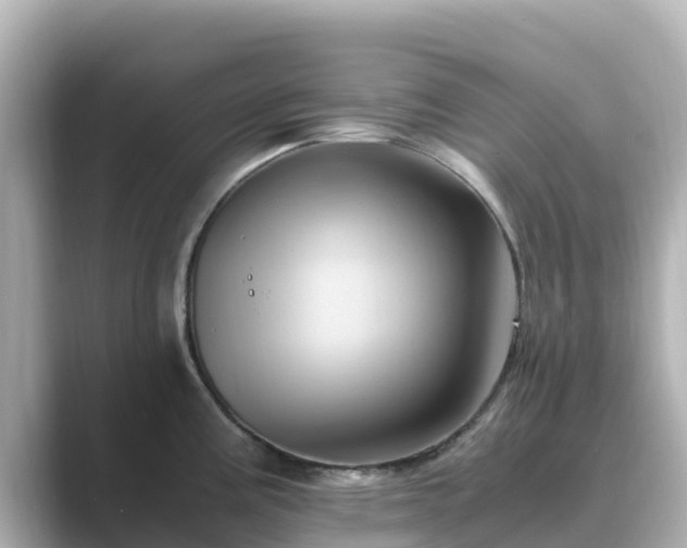 X0000089411195200706221130
