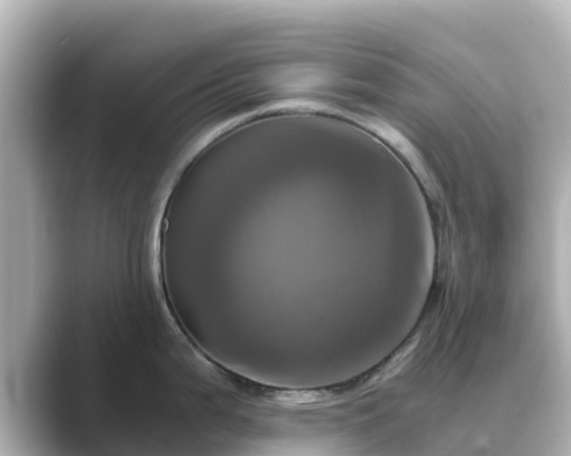 X0000089411199200706221130