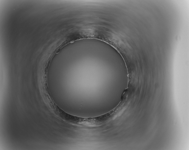 X0000089411201200706221129
