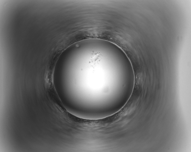 X0000089411202200706221129