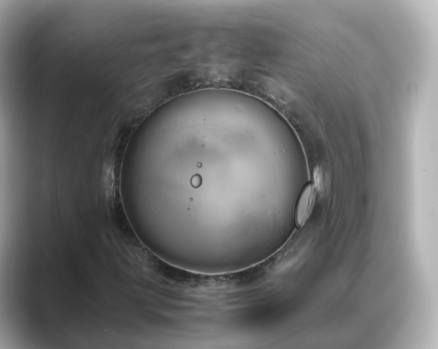 X0000089411203200706221129