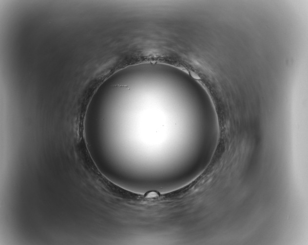 X0000089411205200706221129