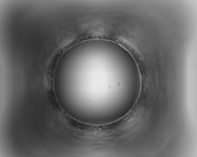 X0000089411207200706221129