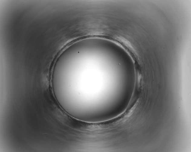 X0000089411212200706221129