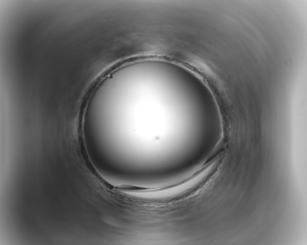 X0000089411216200706221129