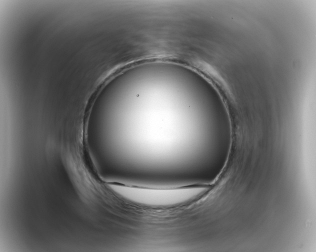 X0000089411220200706221129