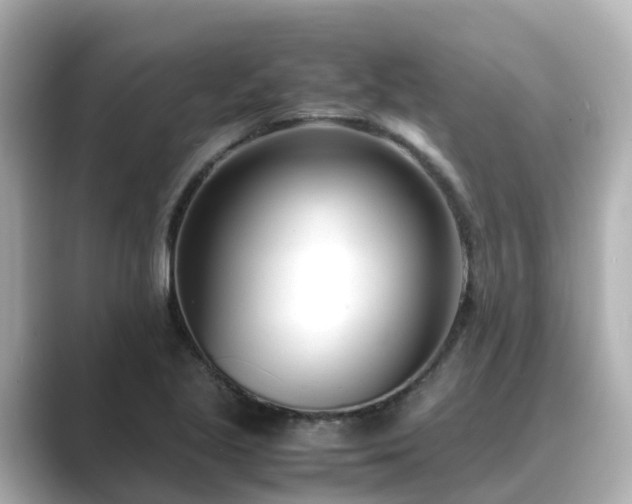 X0000089411221200706221129