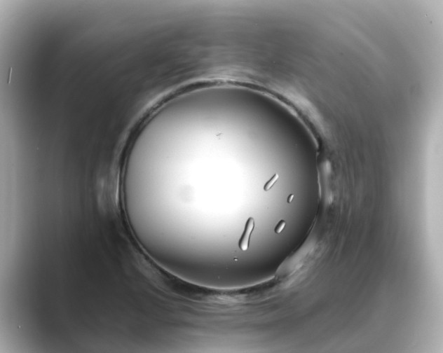 X0000089411224200706221129