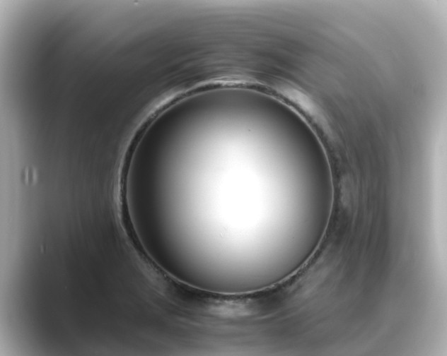 X0000089411229200706221129