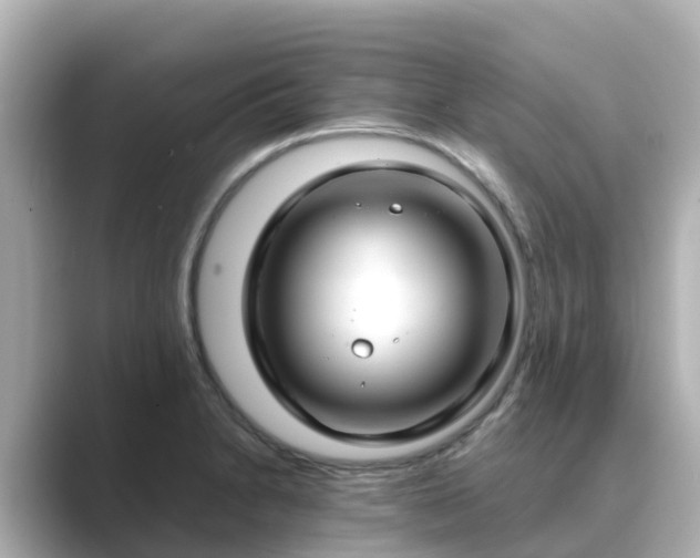 X0000089411230200706221129