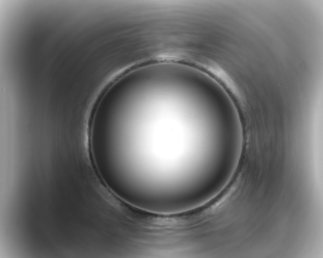 X0000089411232200706221129