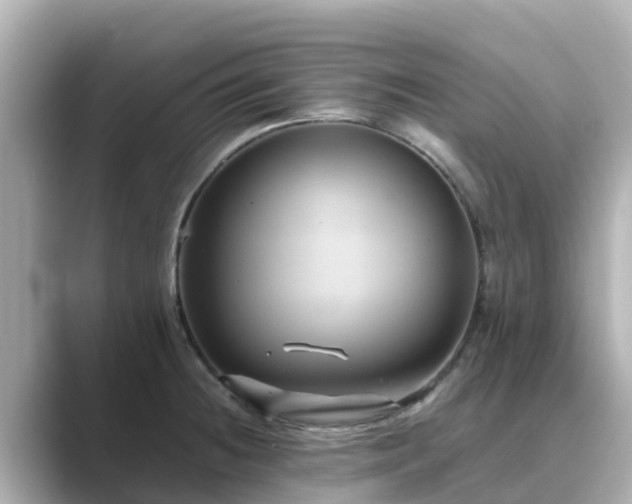 X0000089411236200706221129