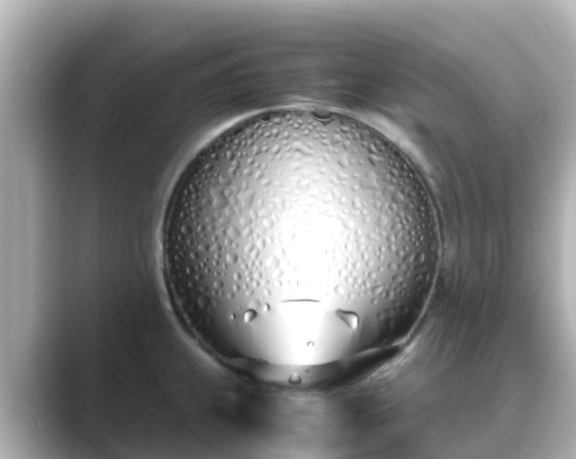 X0000089411239200706221129