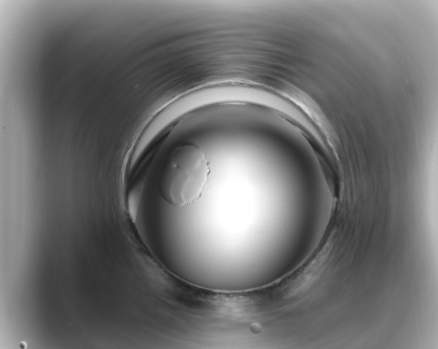 X0000089411242200706221129