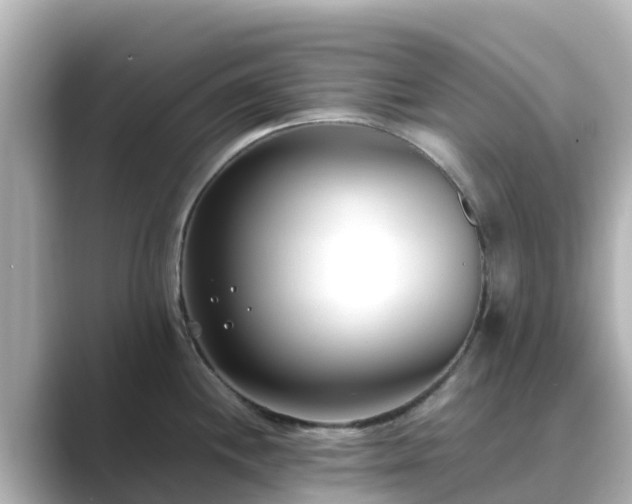 X0000089411244200706221129