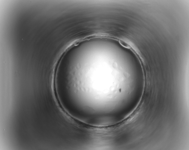 X0000089411245200706221129