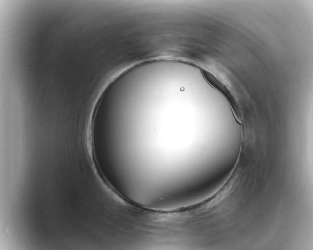 X0000089411247200706221130