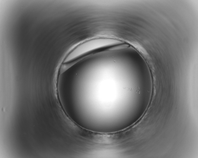 X0000089411248200706221130