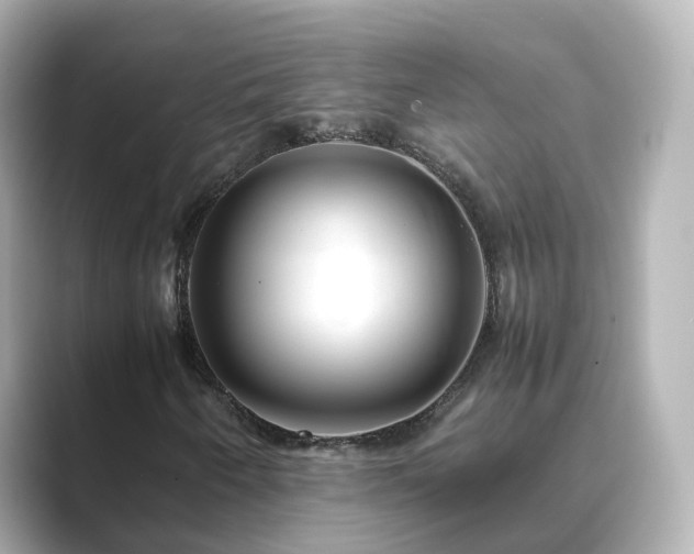 X0000089411250200706221129