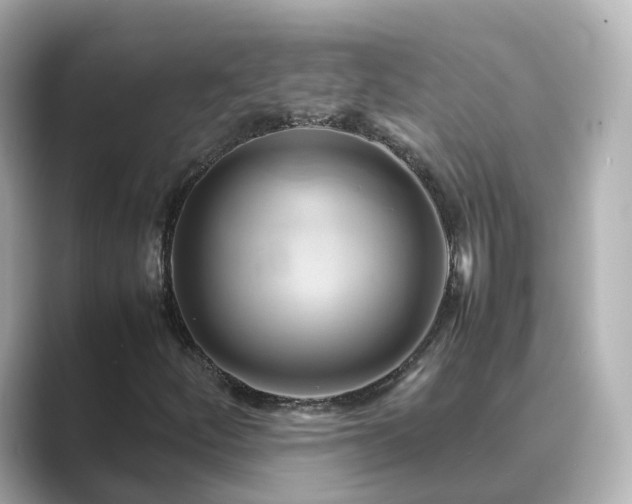 X0000089411252200706221129
