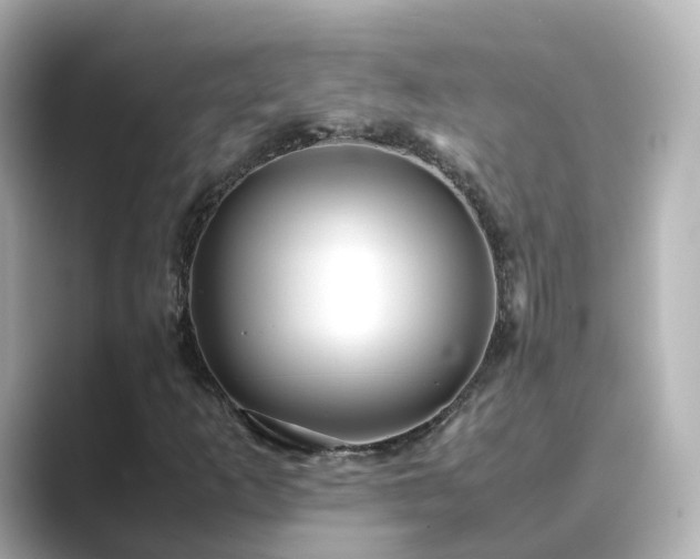 X0000089411253200706221129
