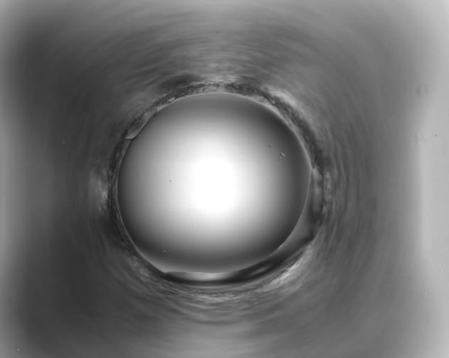 X0000089411257200706221129