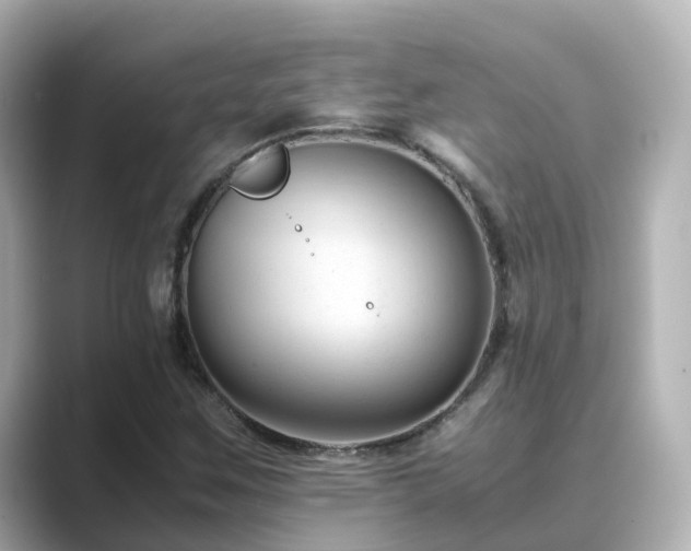 X0000089411259200706221129