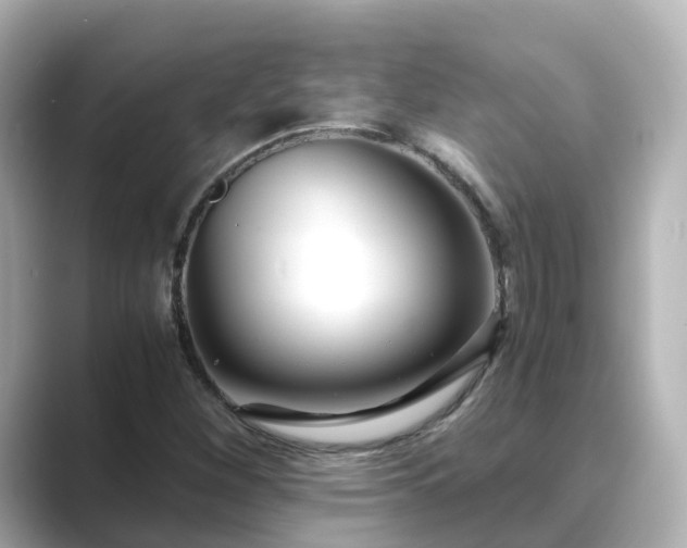 X0000089411260200706221129